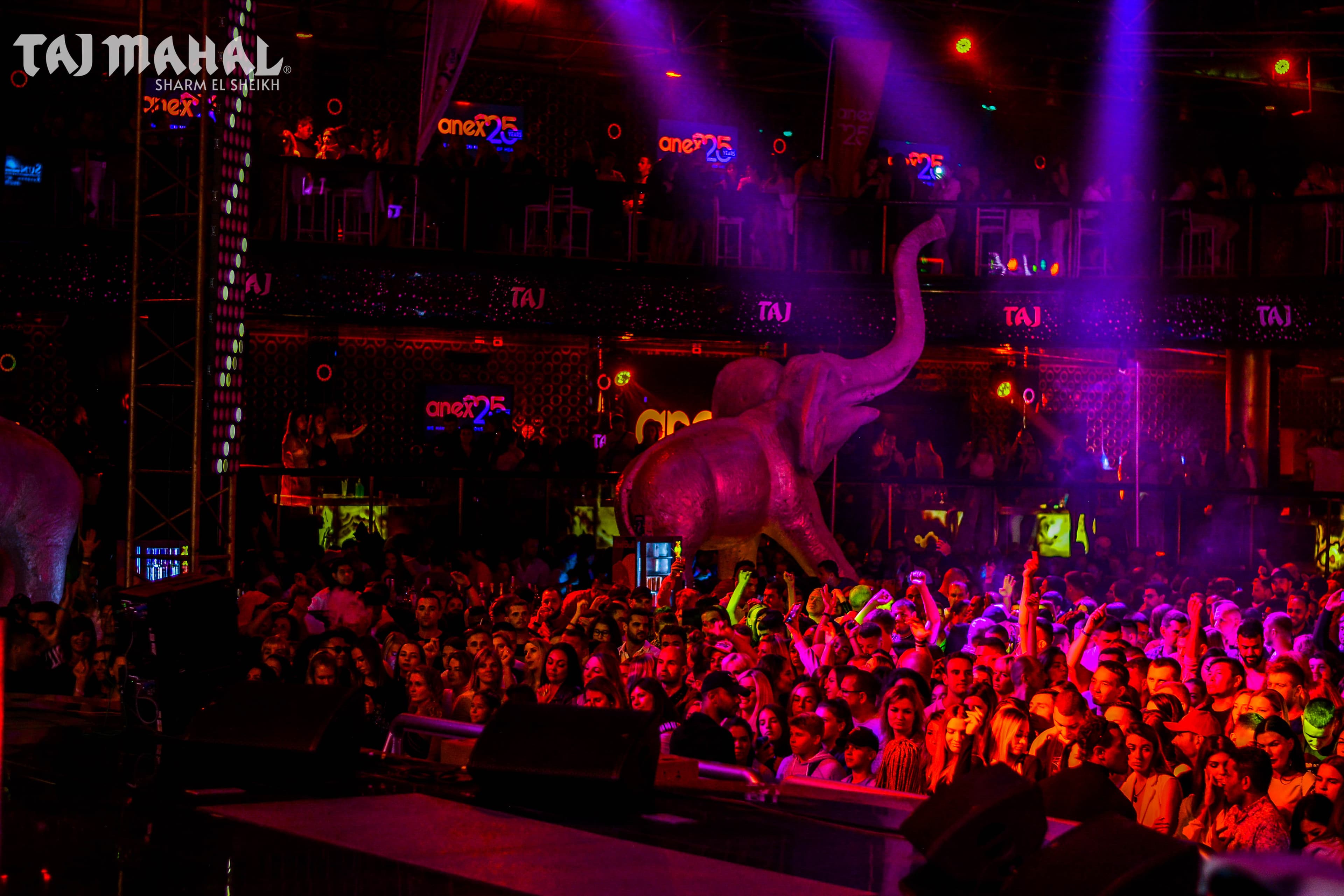 Packed Taj Mahal dance floor under red lighting with the club elephant sculpture